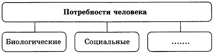 тест по обществознанию Потребности человека 1 вариант 8 задание